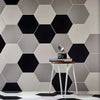 Amsterdam Hexagon Matt Black Porcelain Wall and Floor Tile on Walls and Floors of Room, mixed together with the matching White and Grey Hexagon Tiles