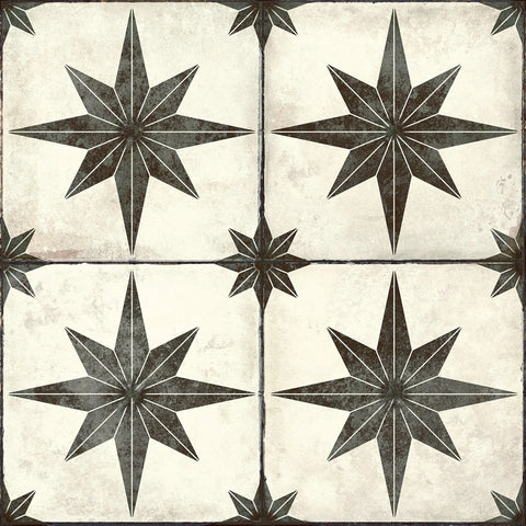 Compass Black and White Pattern Floor Ceramic Tile Product Photo