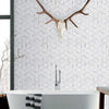 Meteorite Hexagon Authentic White and Grey Marble Mosaic Wall and Floor Tile on Bathroom Wall as Feature Wall