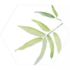 Tropical Forest Green Leaf Pattern Hexagon 333x285 Pattern Wall and Floor Porcelain Tile Product Photo 5