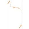 Auxir Polished Gold and White Marble Effect 120x60cm Tiles Design 6