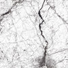 White Marble Effect Tile with Dramatic Black Veining 