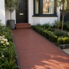 Tiled Quarry  pathway leading to a house with plants on either side